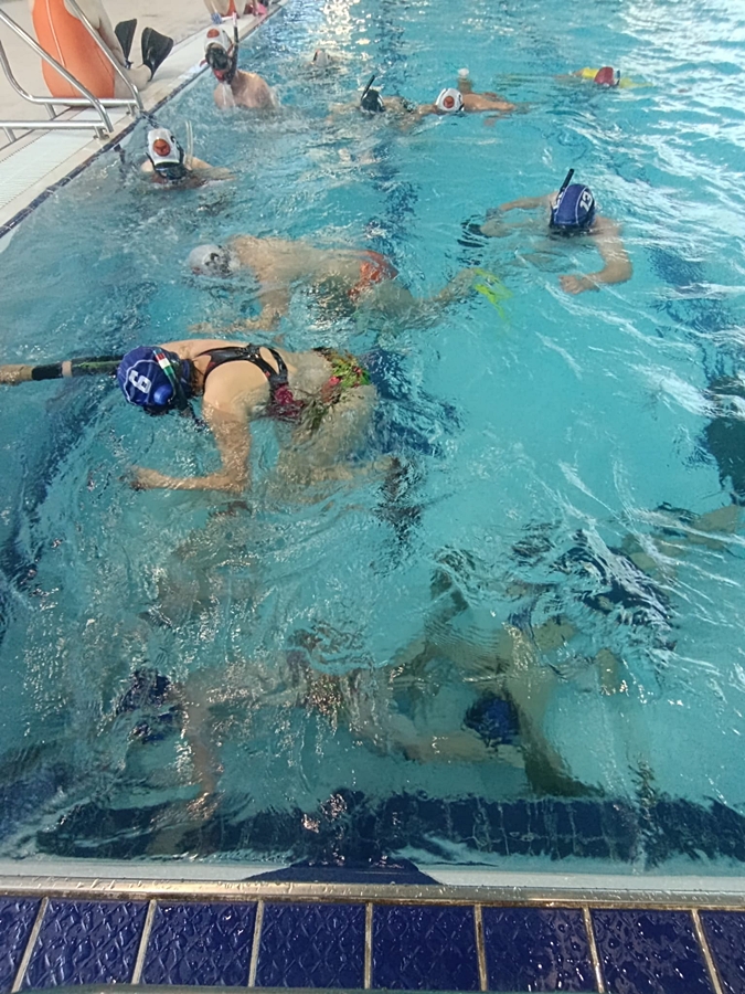 Hokej pod wodą Walenie Czeskie Budziejowice Bud Pig Cup 2026